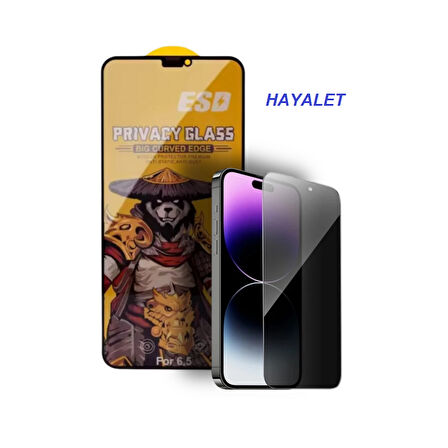 İphone 12 PRO Uyumlu Anti-Static 9H Full Glass Ekran Koruyucu SAFİR CAM HAYALET