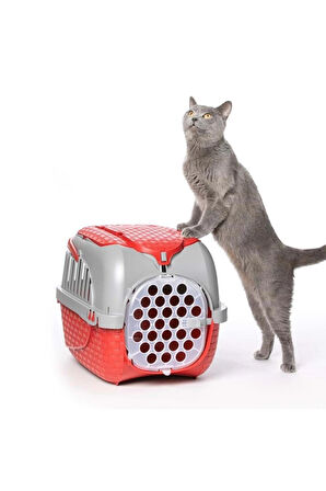 BAMA KEDİLER VE KÖPEKLER İÇİN TAŞIMA ÇANTALARI