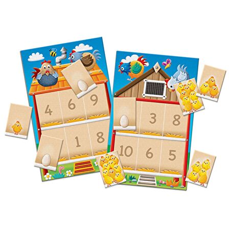 The Learning Journey Pick Your Chickens – Tavuklar Kümeste