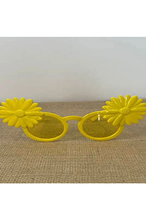 Parti Gözlük Plastik