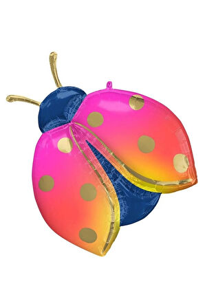 Uğur Böceği Folyo Balon