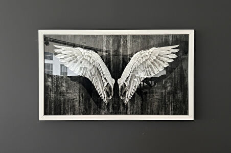Siyah Beyaz Kanatlar Temalı Modern Tablo