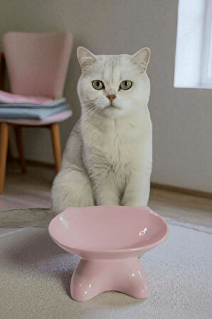 Özel Tasarım Lüks Seramik Kedi Mama Kabı Pempe