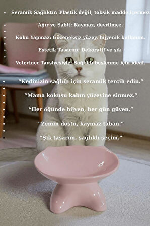 Özel Tasarım Lüks Seramik Kedi Mama Kabı Pempe