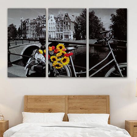 Amsterdam Kanallarındaki Bisiklet ve Laleler Tablosu-6594