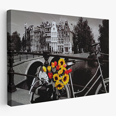 Amsterdam Kanallarındaki Bisiklet ve Laleler Tablosu-6594