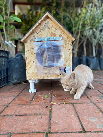 Kedi yuvası Kedi evi ISI VE SU yalıtımlı % 100 KORUNAKLI -11 MM OSB -