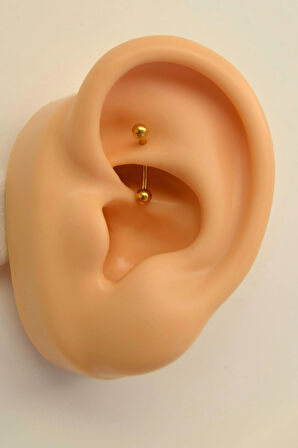 Düz Çelik Rook Piercing Daith Helix Kaş Göbek Lob Uyumlu Piercing