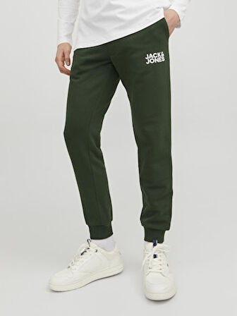 Jack & Jones Jpstgordon Jjnewsoft Sweat Pant Gms Noos Erkek Eşofman Alt 12178421 Mountain View