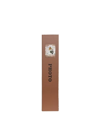 Rabsev RS4602-1 Fotoğraf Albümü 10x15cm 200 Fotoğraf Kapasiteli Gramofon Desenli Anı Albümü
