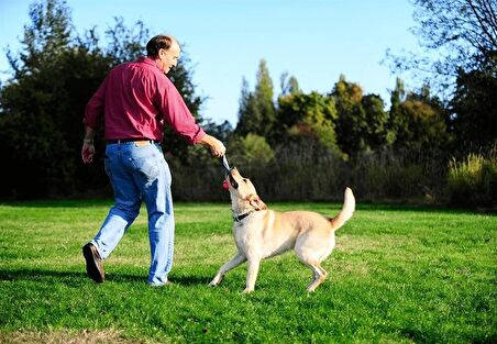 Köpek Çekiştirme Topu ChuckIt! Ultra Tug