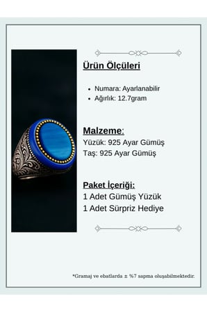 Erkek Kehribar Detaylı Mavi Kaplan Gözü Taşı 925 Ayar Gümüş Yüzük