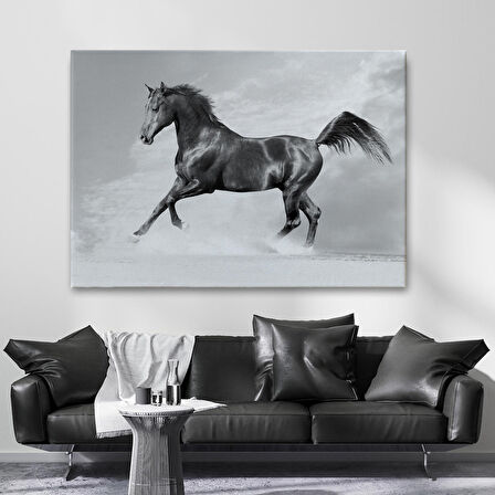 Siyah At Tablosu-6623