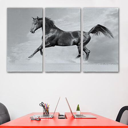 Siyah At Tablosu-6623