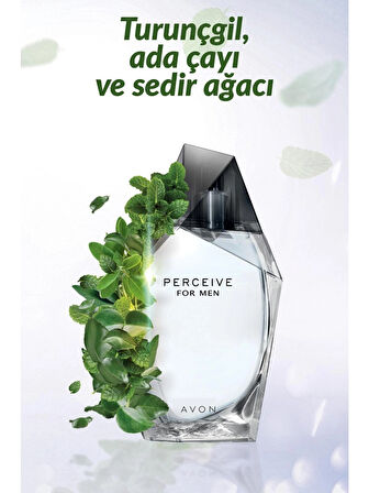 Avon Perceive EDT 100 ml Erkek Parfüm