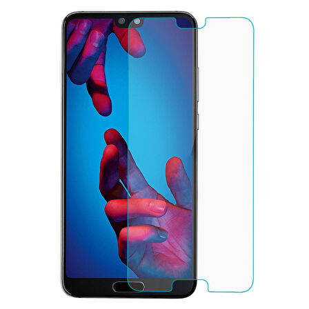Microsonic Huawei P20 Pro Nano Cam Ekran koruyucu Kırılmaz film