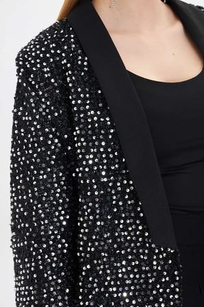 Kadın Gümüş Şal Yaka Pul Payet Ceket ARM-24K001052