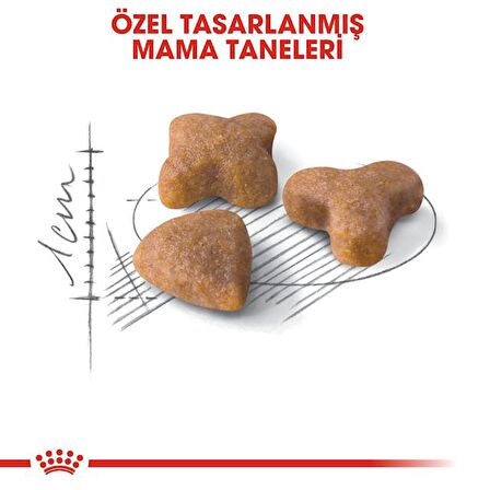 Royal Canin Sensible33 Sindirim Hassasiyeti Olan Kediler için Yetişkin Kuru Kedi Maması 2kg