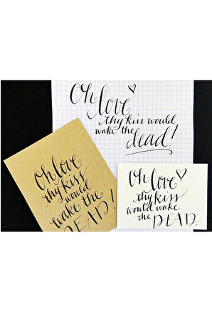 Zebra G Nib copperplate divit uç, gölge yazı. çizim ucu-tarama uç-1 Ad