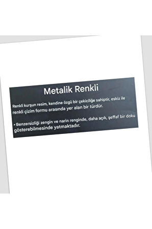 Kara Kalem Çizim Seti Metalik 12 Renk Kalem Çizim Set, Parlak Eskiz ve Tonlama-12li