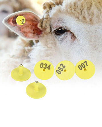 Küçükbaş Kulak Küpesi Yuvarlak Model Sarı 500 Adet