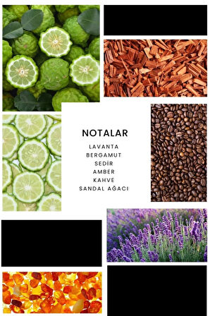 E095 Arjin Erkek Edp - 100ml