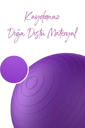 Pilatesi Topu Denge Spor Yoga Aerobik Jimnastik Plates Fitness Topu 65 cm Mor Spor Matarası 800 ml Bpa İçermez 