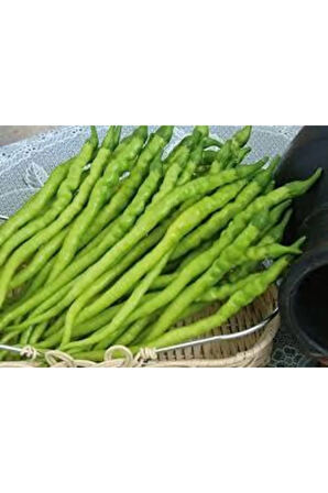 25 Adet Tohum Tatlı Sivri Kıl Biber Tohumu Kıl Biberi Tohumu Sürpriz Hediye Tohum Saksı Toprak