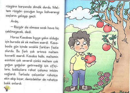 3.Sınıf Okumayı Sevdiren Renkli Resimli Hikayeler 6 - 10 Kitap