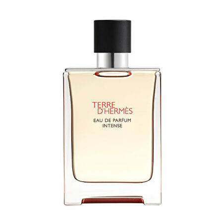 Hermès Terre d'Hermès, Eau de Parfum Intense 100ML Erkek Parfüm