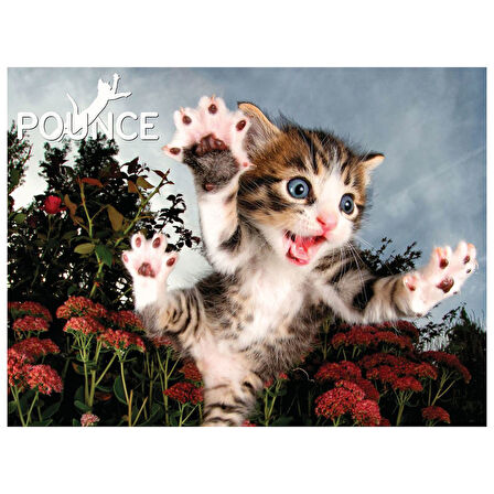 Prime 3D Kedi Pençesi Puzzle 100 Parça 10562