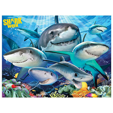Prime 3D Discovery Köpek Balıkları Puzzle 100 Parça 10668