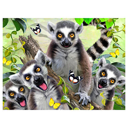 Prime 3D Lemur Pelüş ve Selfie 48 Parça Puzzle 15801