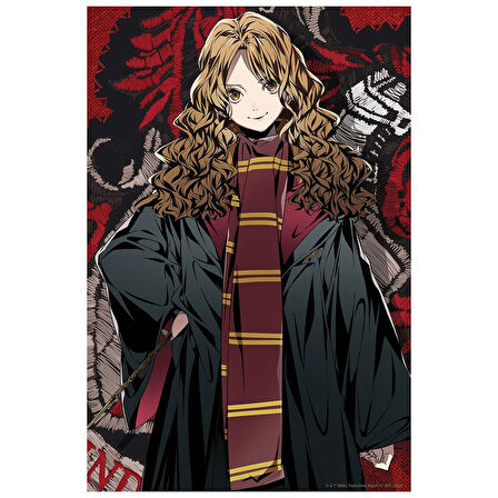 Prime 3D Harry Potter Hermione Granger Figür ve 300 Parça Puzzle 35805