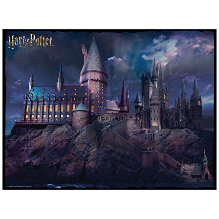 Prime 3D Harry Potter Çift Taraflı Puzzle 500 Parça 37579