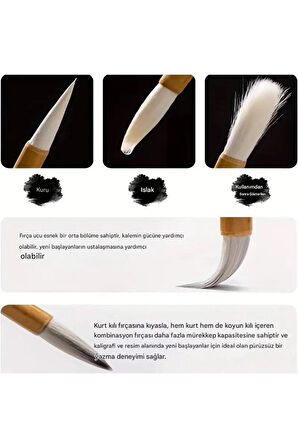 Çini tahrir, seramik sırlama fırça seti, seramik boyama, çini, vazo, resim, brush-19 Parça