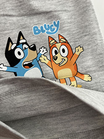 Karakter Desenli Tshirt ve Şortlu Alt Üst Erkek Çocuk Takım