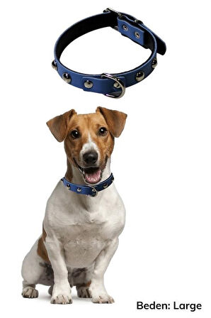 CT-STONES® Yumuşak Dokulu Deri Köpek Gezdirme Boyun Tasması (Large)
