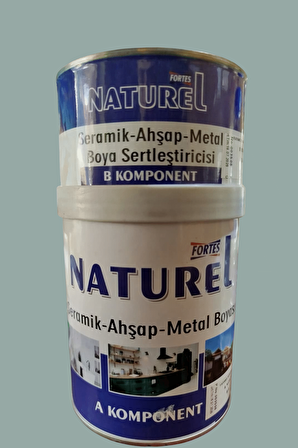 Fayans Boyası Tezgah, Mermer, Ahşap, Mobilya, Cam, Seramik, Kapı Boyası 1LT