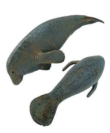 Oyuncak Deniz Canlıları Deniz İneği Figürü (Sirenia) Deniz İneği 24cm.