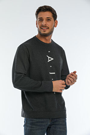 spr22sw131 Bisiklet Yaka Baskılı Sweatshirt