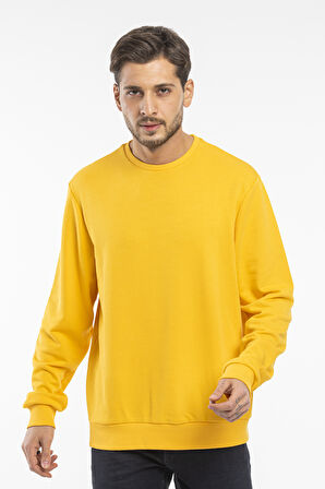 Erkek Bisiklet Yaka Rahat Kalıp 3 iplik İçi Polarlı Kalın Sweatshirt SPR24SW36