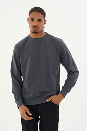 Süperlife Erkek Gri Bisiklet Yaka Ribanalı Regular Fit Sweatshirt spr26swk930