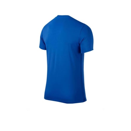 Nike Erkek T-shirt Ss Park Vı Jsy 725891-463