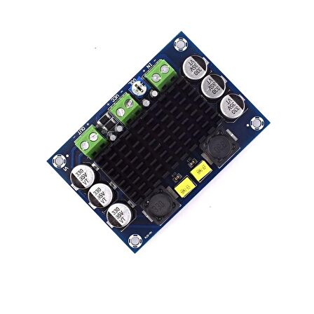 TPA3116 D2 12V-24V 100W Mono Dijital Ses Amplifikatör Modülü