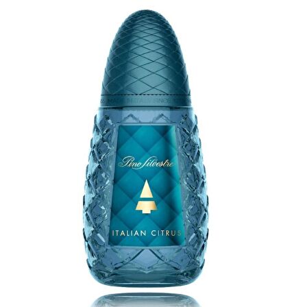 Italian Citrus EDT 125 ml Erkek Parfümü