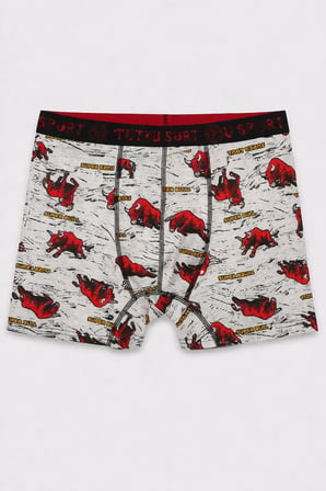 Tutku Erkek Karışık Desenli Paçalı Boxer 5’li Set 0119 – Esnek ve Rahat (Karışık Desen)