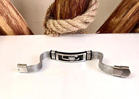 Akrep Burcu Erkeği Paslanmaz Çelik Hasır Kordon Erkek Bileklik 22 cm