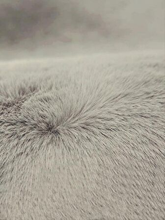 Tappeto Rex Tavşanı Dekoratif Post Peluş Halı Gri (Tüy Yüksekliği 22 mm)