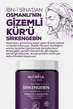Nutriful Ibn-i Sina Sirkengebin Prebiyotik Macunu